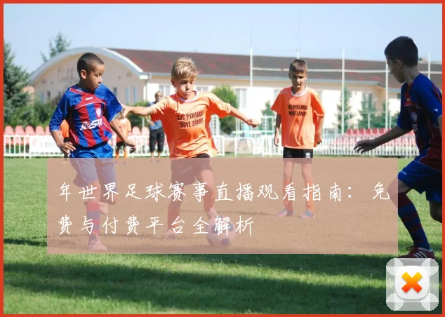 年世界足球赛事直播观看指南：免费与付费平台全解析