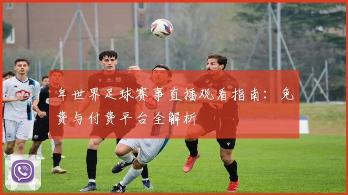 年世界足球赛事直播观看指南:免费与付费平台全解析
