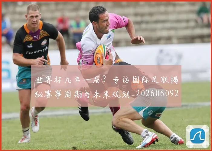 世界杯几年一届?专访国际足联揭秘赛事周期与未来规划_20260609201306